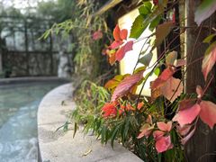 -北京君和豪生温泉度假酒店