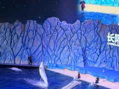-珠海长隆海洋王国