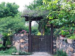 -鹅湖玫瑰文化园