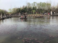 -溱湖国家湿地公园