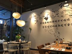 -MR鹅外
