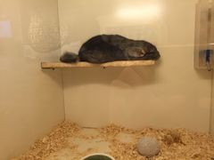 -龙猫仔乐园(惠福东路店)