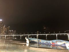 -广安大桥