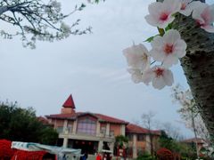 -上海海湾国家森林公园