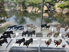 -罗红摄影艺术馆