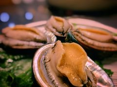 鲜活小鲍鱼-金龙·打边炉(武进路店)