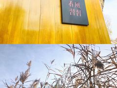 -春风习习