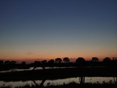 -上海都市菜园