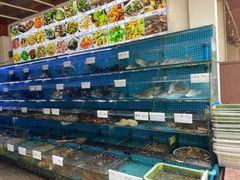 水产区-金海湾海鲜排档(朱家尖店)