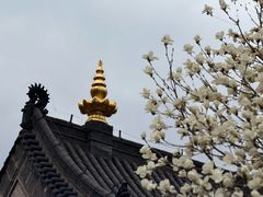 -护国法轮寺
