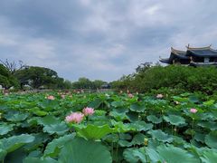 -江心屿景区