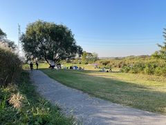 -渭河城市绿地运动公园