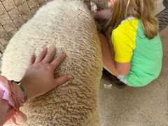 -费瑟代尔野生动物园