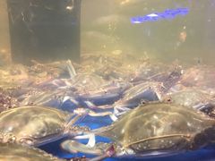 -盒马鲜生(昆城店)