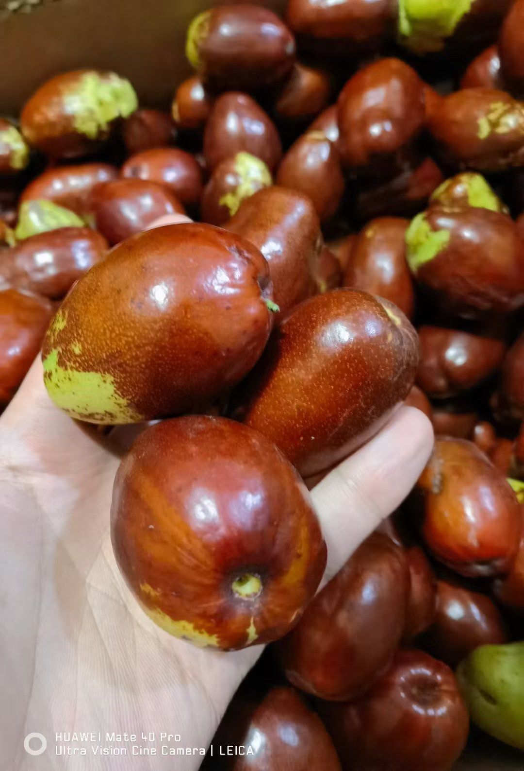 家乡特产-灵宝大枣,红提99