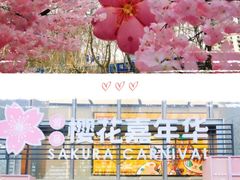 -金茂览秀城
