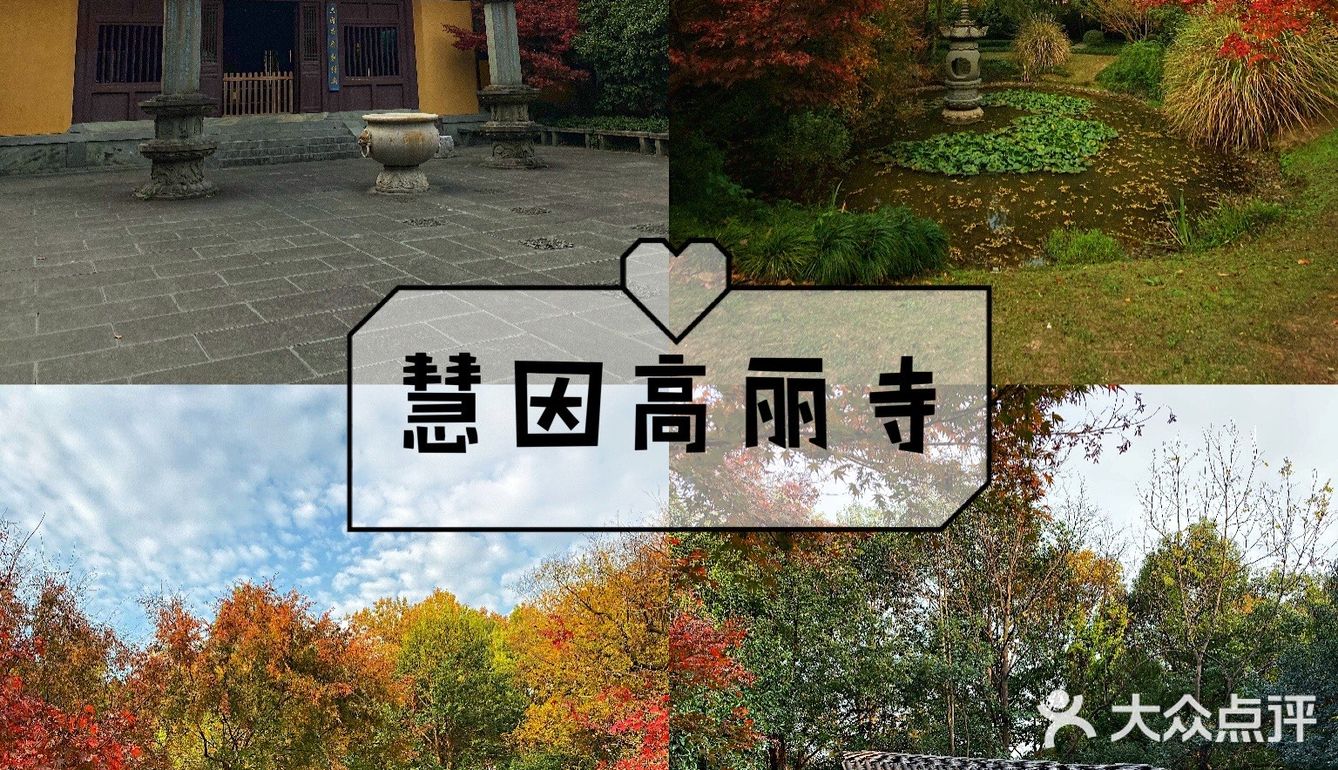 杭州旅游攻略|慧因高丽寺