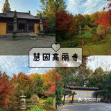 杭州旅游攻略|慧因高丽寺
