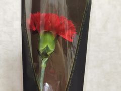 -紫金港国际饭店-自助早餐(申花路店)