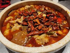 -红辣椒·川菜·火锅(张杨路店)