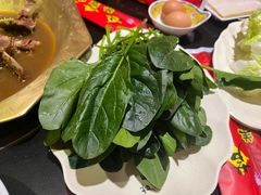 -芦月轩羊蝎子(劲松店)