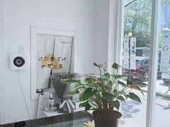 -Star Party Cake创意网红生日蛋糕(北碚店)