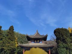 -西安碑林博物馆
