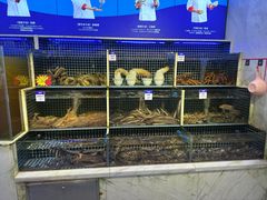 -开海·红岛海鲜虾水饺(石老人店)