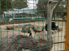 -武汉紫薇都市田园