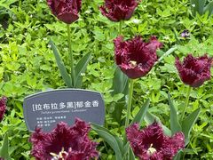 -国家植物园