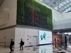 -广州白云国际机场-T2航站楼
