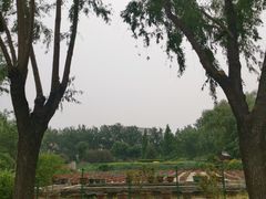 -莲花池公园