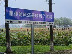 -洪湖生态旅游区