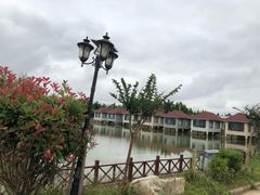 -盐城丹顶鹤湿地生态旅游区