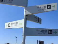 -日照海滨国家森林公园