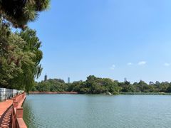 -陈记锅盖面(长江路店)