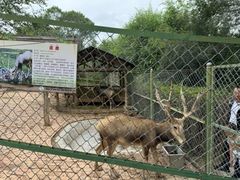 -青藏高原野生动物园