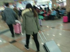 -哈尔滨太平国际机场