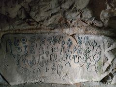 -大金鹰园