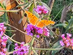 -祥源·阜阳生态乐园