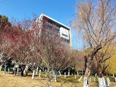 -天鹅湖体育公园