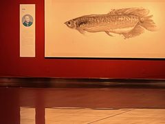 -江苏省美术馆(长江路新馆)