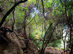 -寻龙山风景旅游区