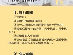 -北京第二实验小学