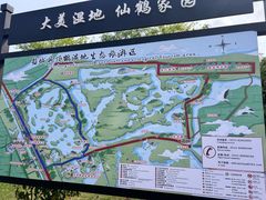 -盐城丹顶鹤湿地生态旅游区