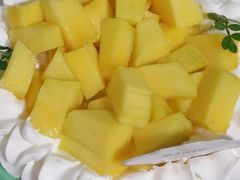-维尔纳斯·生日蛋糕·动物奶油冰淇淋蛋糕(六里桥店)