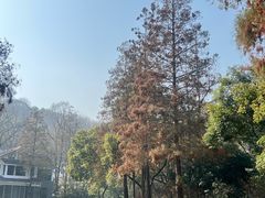 -杭州花家山庄