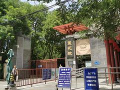 -莲花池公园