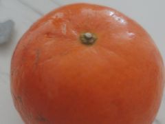 -蓉三少冒烤鸭·四川小吃集(北京首店)