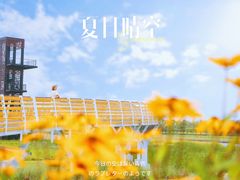 -春花秋色城市公园